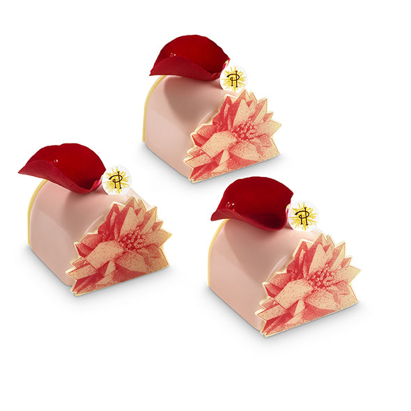 ISPAHAN BUCHE INDIVIDUAL